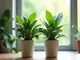 relation-symbiotique-entre-fusion-et-dependance-comment-lequilibrer